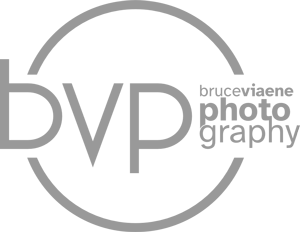 grey bruce viaene photography logo